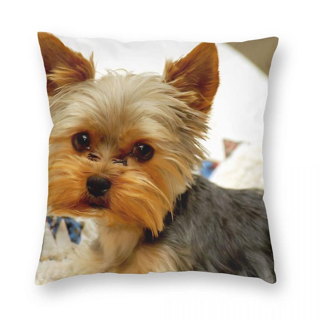 Yorkie Terrier Dog Cute Pillowcase Printed Polyester Cushion Cover Decor Pillow Case Cover Home Square cm
