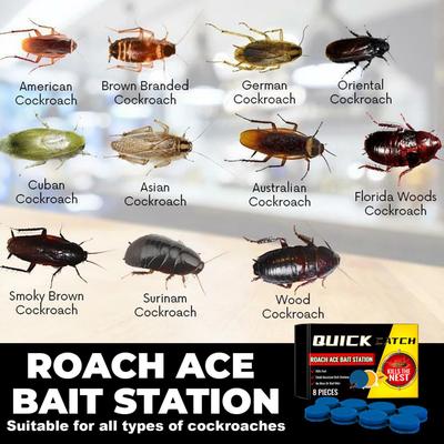8 Pcs/box Cockroach Bait Station Multipurpose Bait Traps for Household Long-Lasting Bait Stations for Kitchen Wardrobe Bedroom