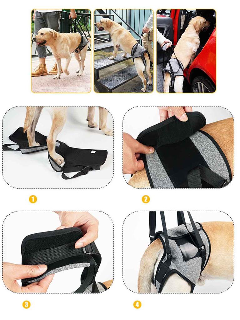 Care Harness for Dog Body for Large for Large Dog Adjustable Support Pet Supplies Dogs, Harness, Harness, Dogs, Walking, Harness, Harness,