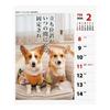 2026 Calendar Corgi Senryu (Weekly)