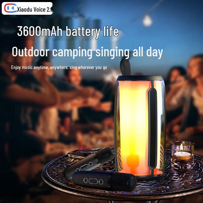 Newmine M18 KTV Wireless Bluetooth Speaker CN plug (adapter included)