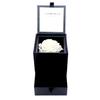 [Sears] Sears Jewelry Case with Preserved Roses (Diamond Rose, Platinum White) 1218-01