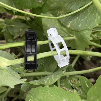 Haveredskaber – Bånd og clips til planteopbinding