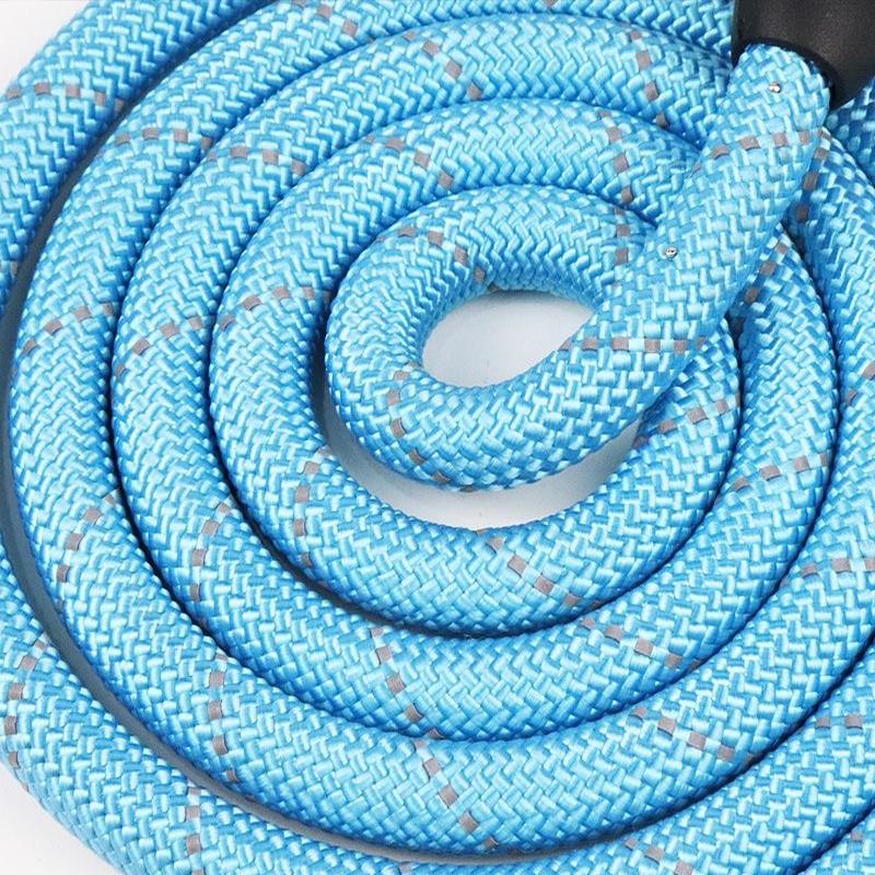 3M Reflective Dog Leash With Comfortable Padded Handle Double Heavy Duty Traction Rope  for Dogs Suitable Small To Large Dogs