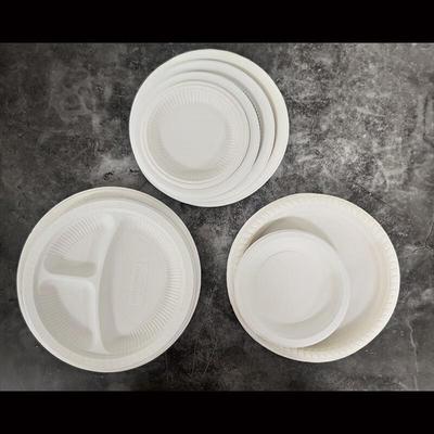 ZISIZ Disposable 7-inch Round Plates