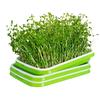 Hydroponic Home Gardening System Seedling Tray Double-layer Soilless Cultivation