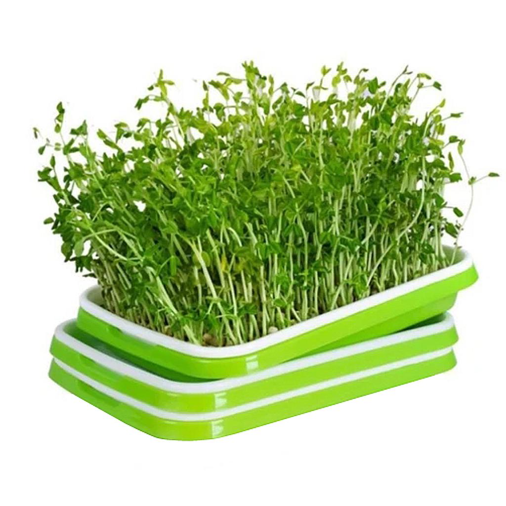 Hydroponic Home Gardening System Seedling Tray Double-layer Soilless Cultivation