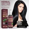 Herbal Hair Darkening Liquid Heshouwu Herbal Extract Moisturizing Conditioner Hair Darkening Hair Conditioner