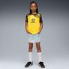 Puma BVB HEIMTRIKOT REPLICA JR Jungen-Trikot gelb 78009401 Größe 164