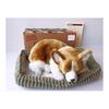Nini and Kino Perfect Pet (Small Size) Corgi Stuffed Toy Dog Dog Realistic Look-alike Miscellaneous Goods Animal Healing Moving Present Gift