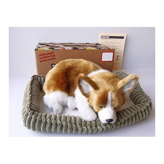 Nini and Kino Perfect Pet (Small Size) Corgi Stuffed Toy Dog Dog Realistic Look-alike Miscellaneous Goods Animal Healing Moving Present Gift