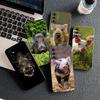 Soft Cover for Samsung Galaxy S25 S24 S23 FE Plus Ultra S7 Edge A16 A15 5G s25+ Coque Phone Case Wild Boar Pig