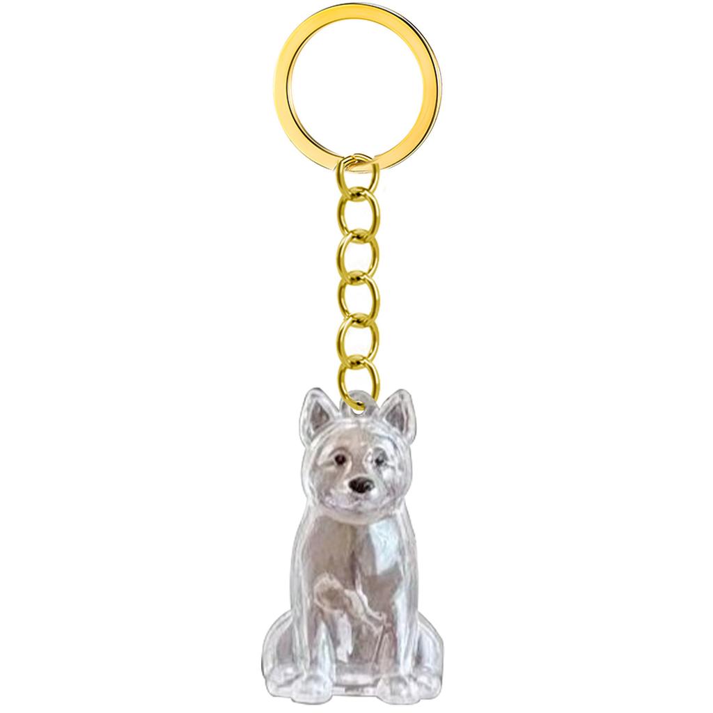 Transparent Pet Memorial Keychain Pet Hair Bottle For Preserving Dog Hair And Ashes In A Leakproof Keepsake Capsule