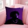 rRod Wave Pillow HipHop Music Cushion Cover Pillow Case Soft Friendly Fabric  Concealed Zipper