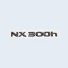 Car Trunk ABS Chrome Gloss Black Letters Logos Badge Emblem Decals Styling Sticker For Lexus NX NX200 NX300 NX200t Accessories