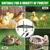 Chick Brooder Heating Plate Adjustable Temperature Electric Poultry Heater for Baby Chicks Ducks Quail Goslings Energy Saving