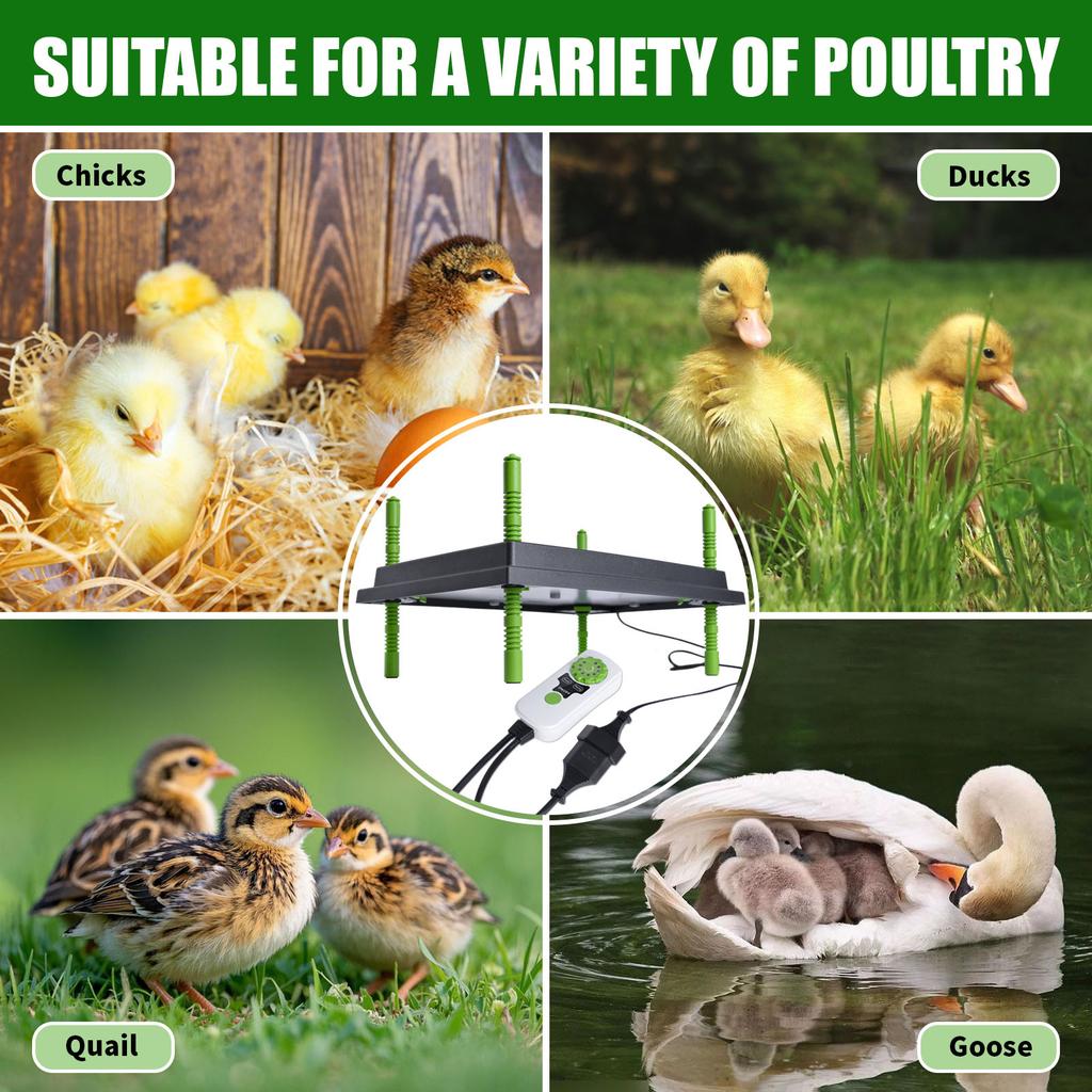 Chick Brooder Heating Plate Adjustable Temperature Electric Poultry Heater for Baby Chicks Ducks Quail Goslings Energy Saving