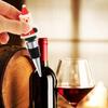 Vacuum Sealed Christmas Wine Bottle Stopper Reusable Wine Sealers Christmas Bottle Cover  Kitchen