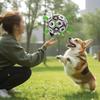 Interactive Pet Football Toys With Grab Tabs Dog Bite Chew Balls Pets Accessories Outdoor Training Soccer for Medium Large Dogs