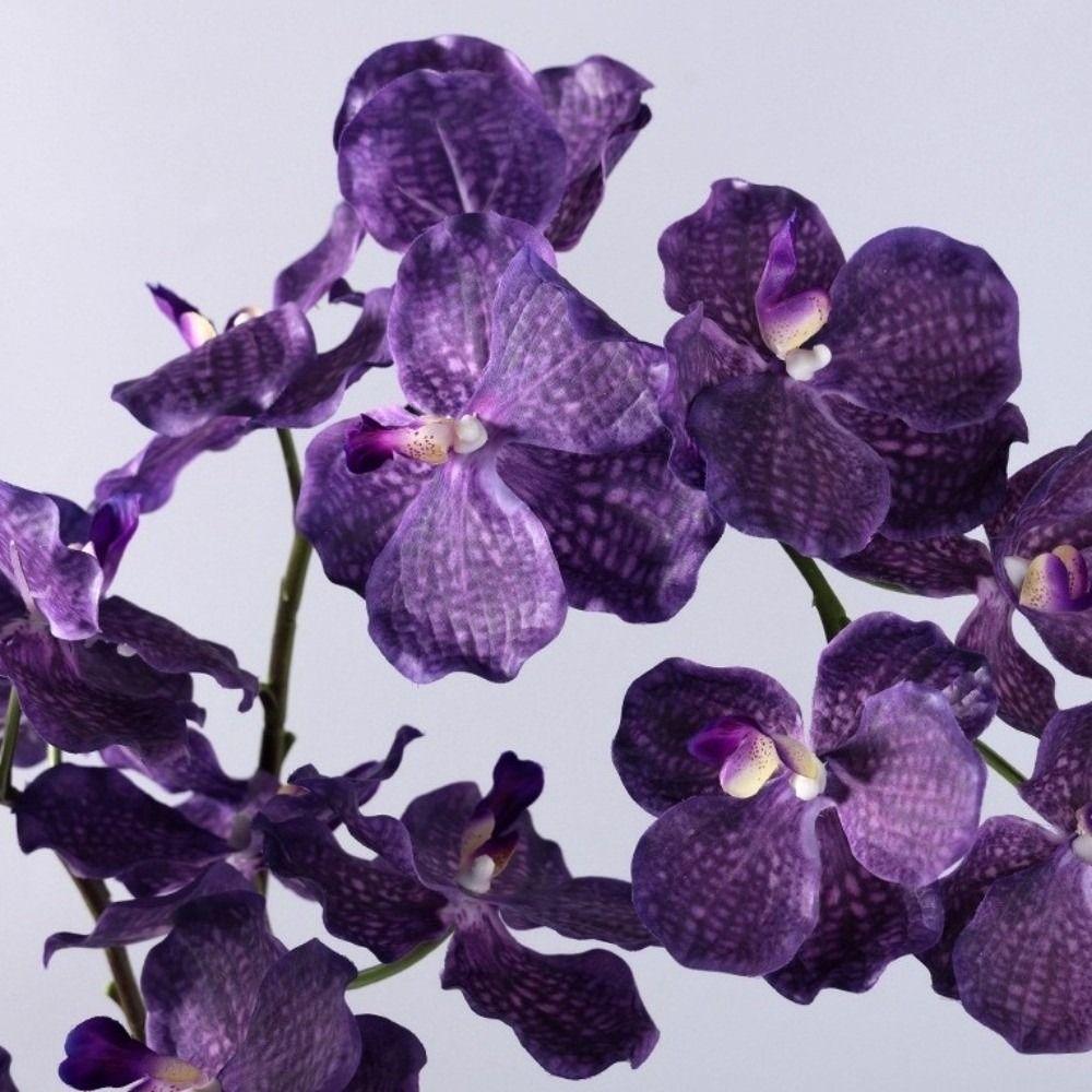 Moisturizing Phalaenopsis Branch Plastic Simulation Flower Fake Flower Dining Table Decor