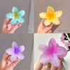 Gradient Flower Hair Clips Set - Multicolor Beach Hawaiian Claw Clips for Women Summer Hair Accessories
