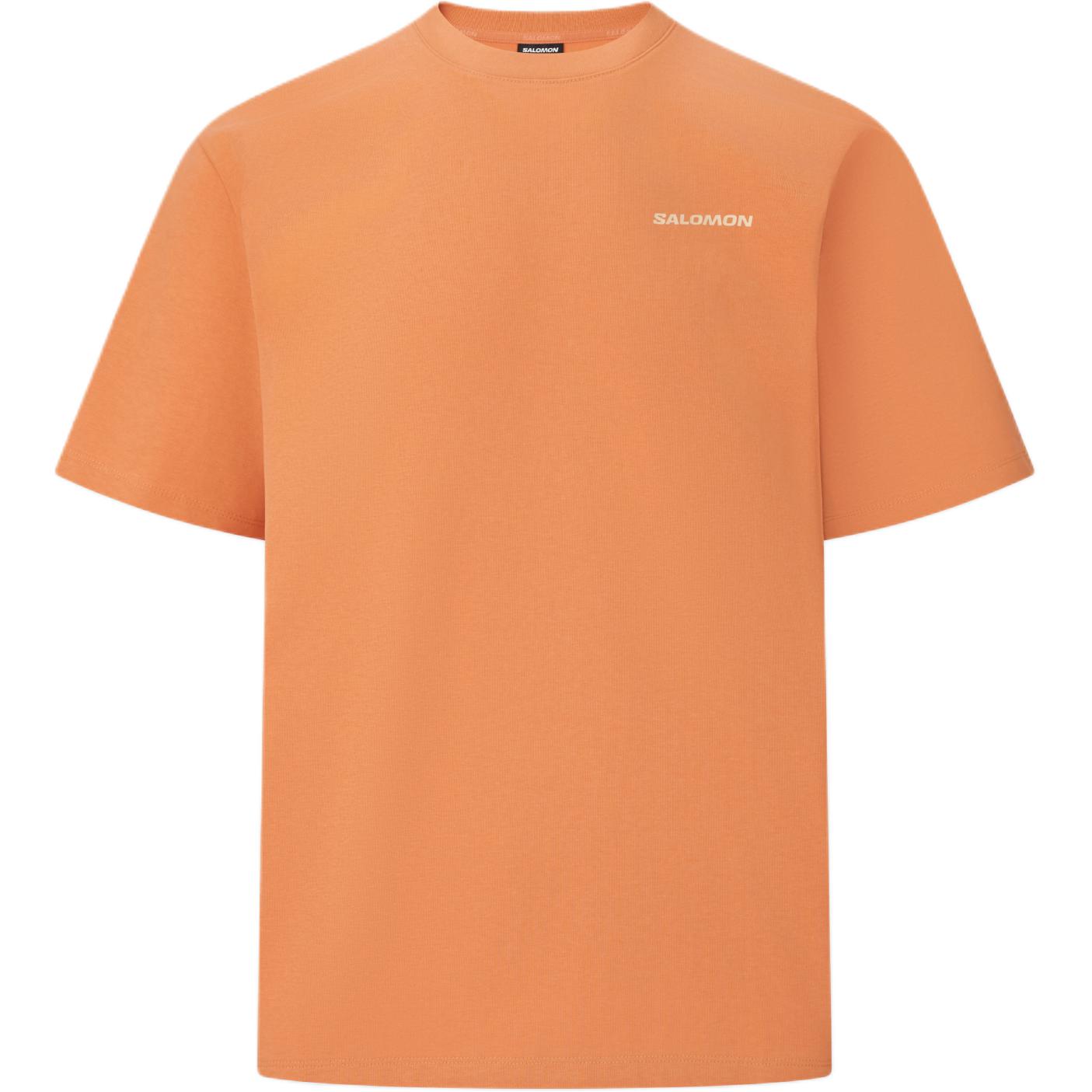 Salomon Scope V2 Round Neck Simple Pullover Short Sleeve T-Shirt Men Tops LD0133200 M