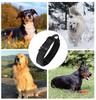 Adjustable Tactical Nylon Dog Collar & Leash Set for Medium-Large Pets