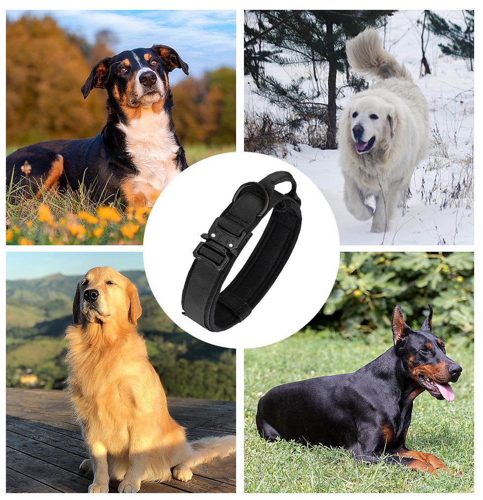 Adjustable Tactical Nylon Dog Collar & Leash Set for Medium-Large Pets