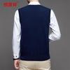 Hengyuanxiang Men's V-Neck Sleeveless Cashmere Vest
