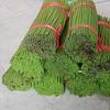 100 Artificial Flower Stems DIY Handicrafts Plastic Rod with Metal Wire Core for Floral Lotus Sunflower Water Lily Support Tube