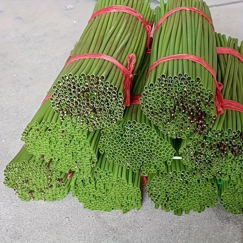 100 Artificial Flower Stems DIY Handicrafts Plastic Rod with Metal Wire Core for Floral Lotus Sunflower Water Lily Support Tube