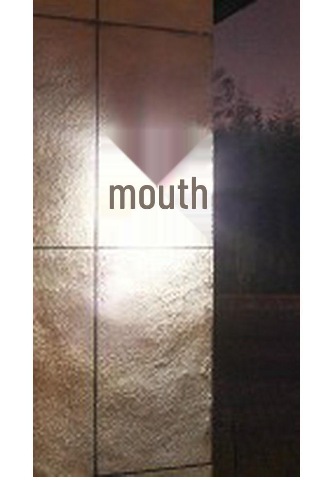 Solar Motion Sensor Wall Lamp with 30/20+5+5 LED for Outdoor Use In Courtyards, Villas, and Streets
