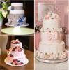 Multi-layer Cake Stand Reusable Cake Separator Plates and Plastic Cake Dowel Rods Set for Tiered Cake Construction and Stacking