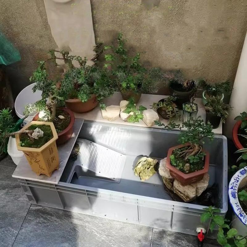 Household Terrariums Large Turtle Breeding Box Aquarium Amphibious Ecological Transport Box Thickened Turtle Tank with Drainage