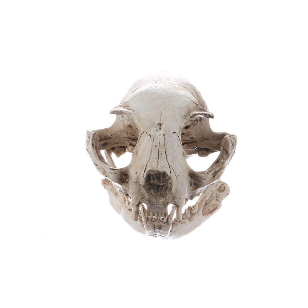 Scary Animal Skull Ornament Funny Cat Skull Statue Artificial Skull Head Halloween Decor Gifts