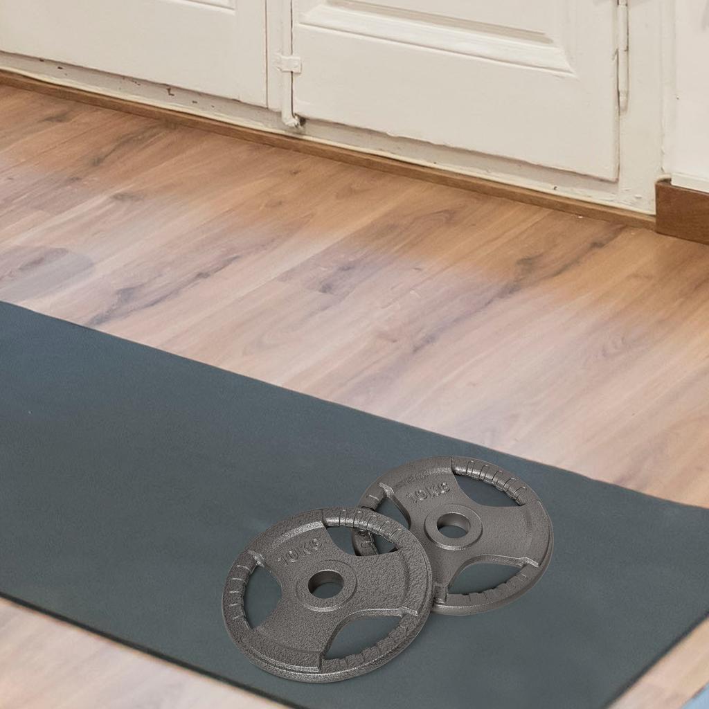 Set of 2 Cast Iron Weight Plates for 2 Inch/5cm Hole Dumbbell Handle Bar, 20kg Dumbbell Plates Barbell Weight 2 X 10kg