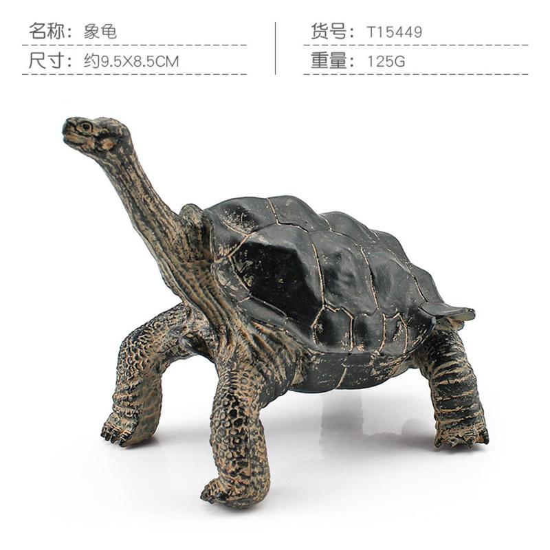 Simulation Amphibian Reptile Model Tortoise Tortoise Star Tortoise Static Decoration Cognitive Ornament Toy