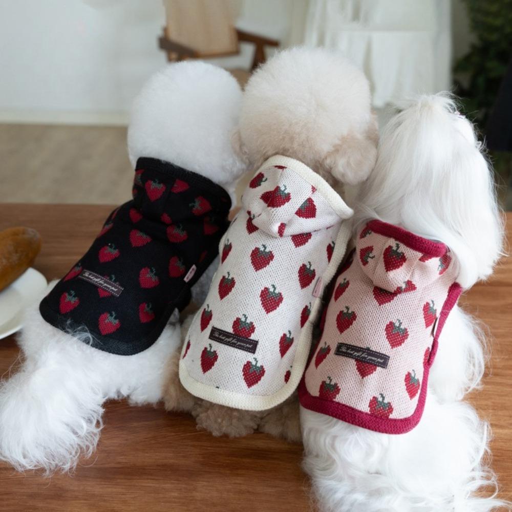 Pet Winter/Autumn Warm Hoodie Pet Strawberry Cloak Teddy Cute Coat Dog Clothes for Small Dogs Puppy Clothes