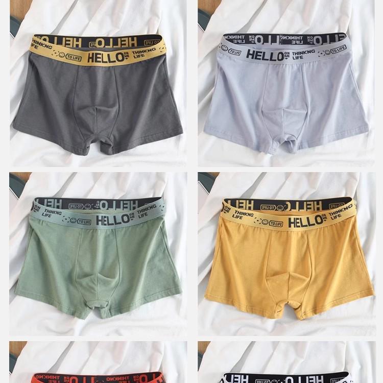 Men's Quick-Dry Cotton Boxer Shorts - Autumn/Winter 2024 Trend, Versatile Sports Briefs for Teens