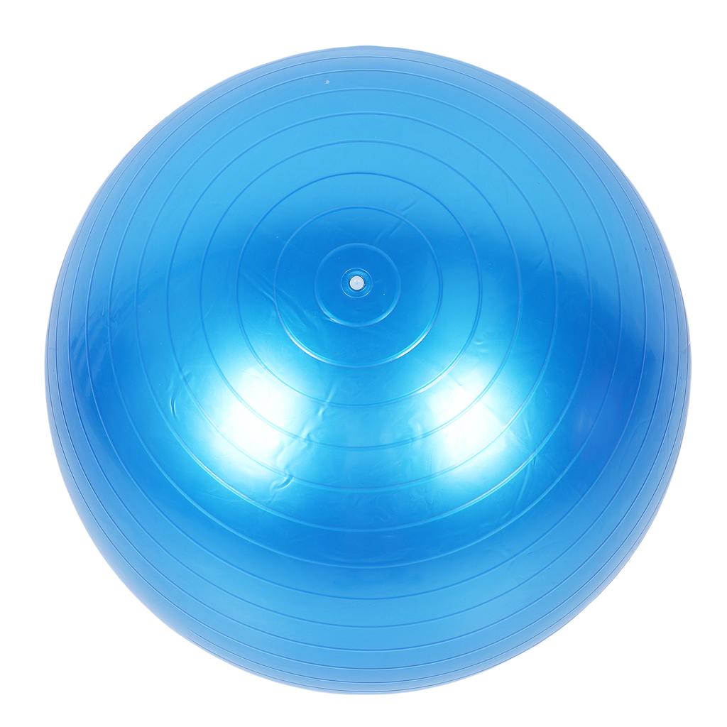 Extra Thick Exercise Ball PVC Anti Burst Inflatable Gym Ball with Pump for Pilates Balance Stability Core Workout