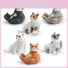 Realistic Pvc Cat Model Ornament For Kids Playroom Decor Educational And