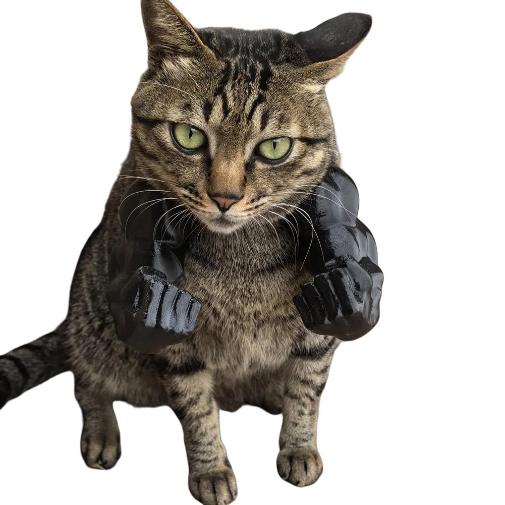 Cat Muscle Arm 3D Printed Cat Neck Hanging Decorative Toy with Muscles Cosplay for Kitten Party Halloween Costume Accessories