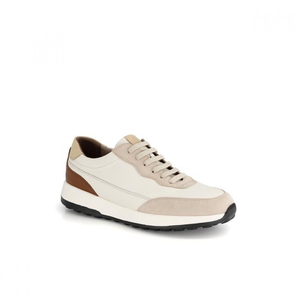 DakS Men S Comfort Height increaSing SneakerS Dmx513ha30 White white (HA30)/245