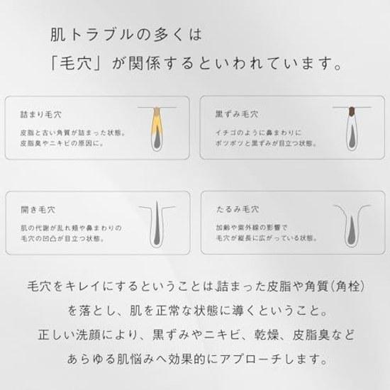 Rich Whip Brush shobido Koseido SHINKA Dense Cleansing Antibacterial Hair Used Mens Womens Pores Small Nose