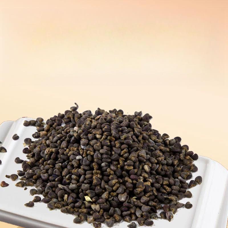 Premium Abutilla Seeds - 50g