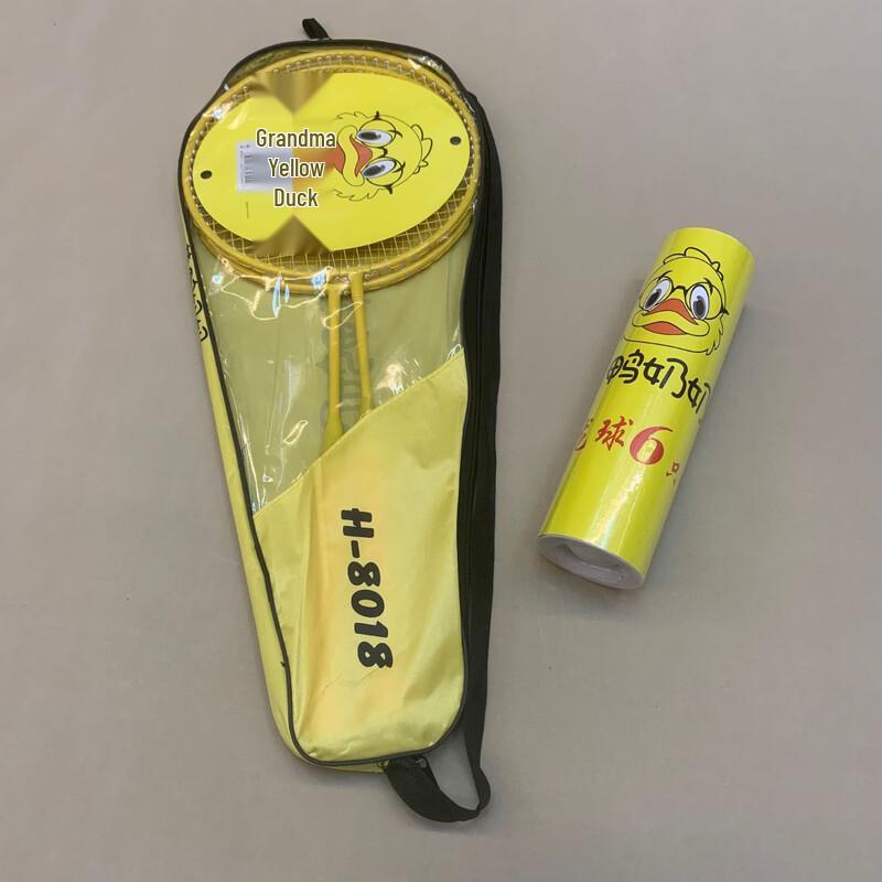 Green Mantis Kids Badminton Double Racket Set