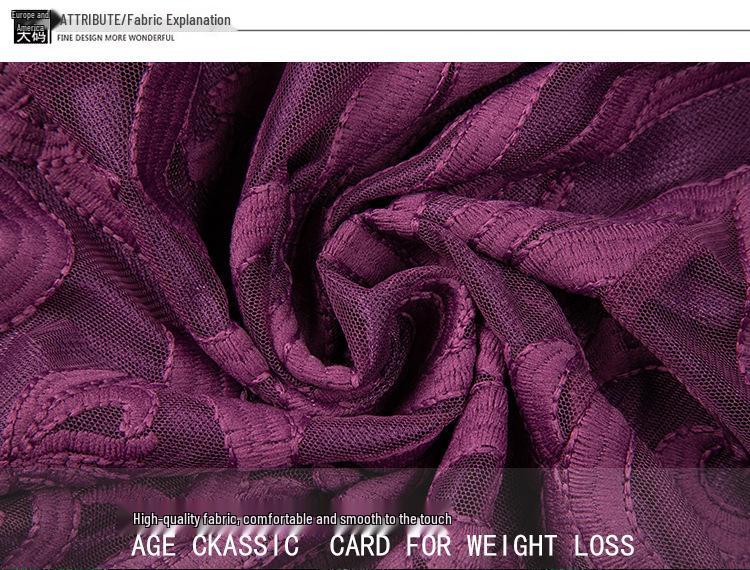 Versatile Plus Size Lace Embroidery Dress for Spring & Autumn