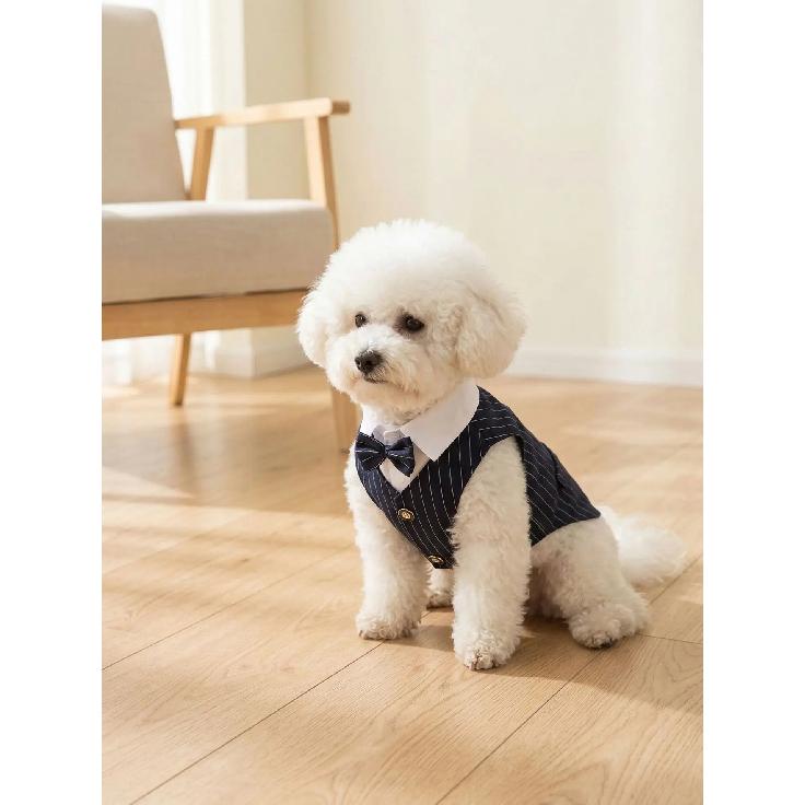 Polyester Haustierkleidung Teddy Hundekleidung Frühling Sommer Haustierjacke Katzenkleidung Weinrot Marineblau Schwarz Hundemantel mit einer Fliege