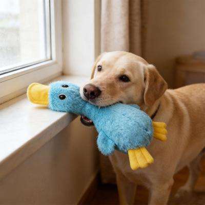 Köpek – Köpek oyuncakları