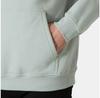 Helly Hansen Graphic Hoodie